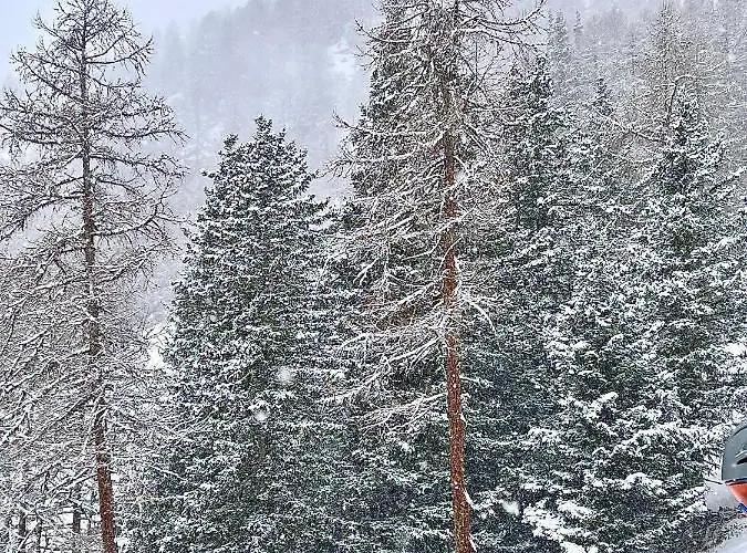 Alpine Vista Hardaker 4 Bedrooms Torgnon